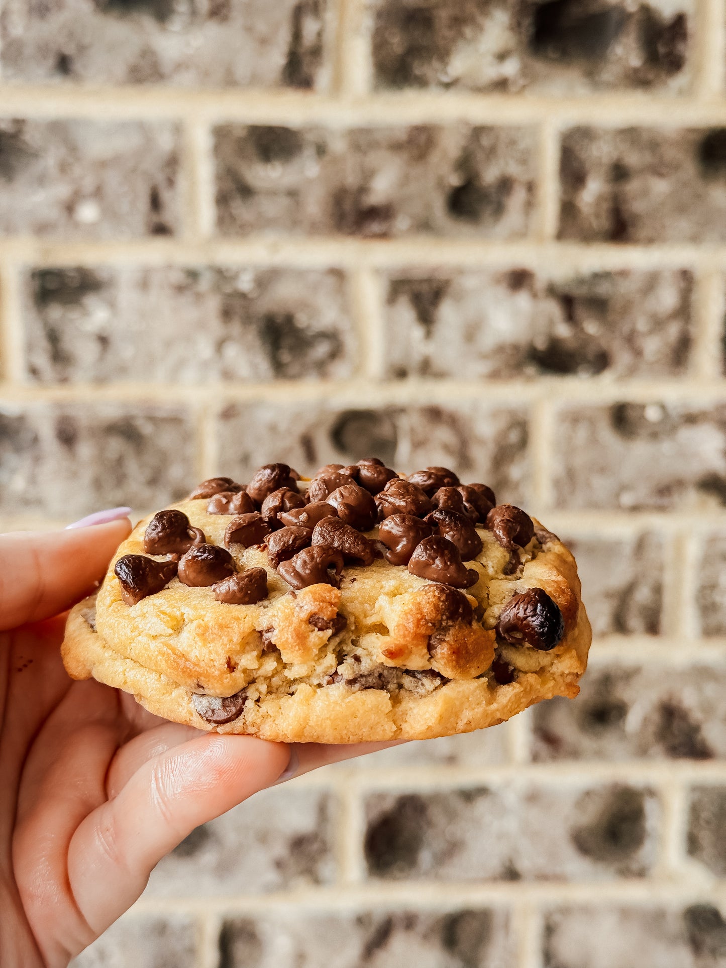 XXL Cookies- Chocolate Chip